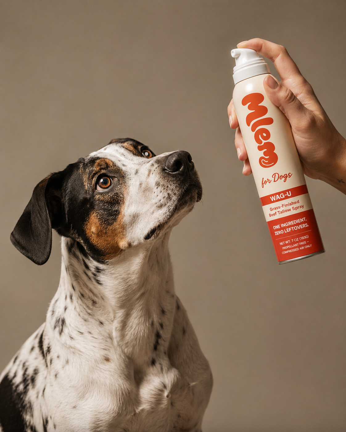 Mlem - Beef Topper Spray for Dogs