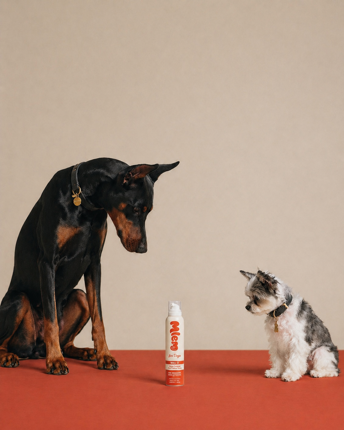 Mlem - Beef Topper Spray for Dogs