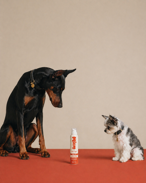 Mlem - Beef Topper Spray for Dogs